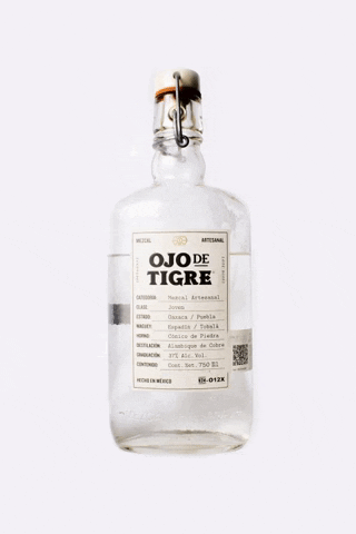 Ojodetigremezcal giphygifmaker dance cheers mexico GIF