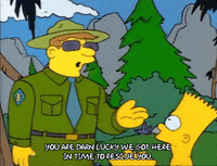 Season 1 GIF by The Simpsons