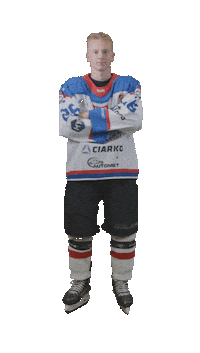 Hockey Player Sticker by STS Sanok