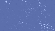 Explore Osiris-Rex GIF by NASA