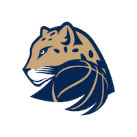 LevhartiChomutov logo czech basketbal chomutov Sticker