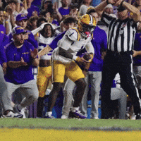 College Football GIF by LSU Tigers