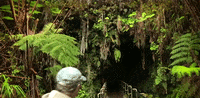hawaii GIF