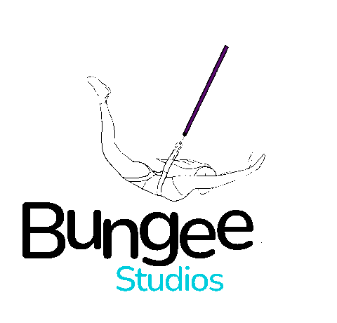 Bungeestudios giphyupload bungee bungee fitness bungeefitness Sticker