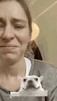TheFilmFactory giphyupload vmn vergeetmyniefliek vergeetmynie GIF