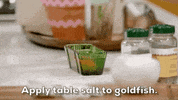 amy sedaris ah106 GIF by truTV’s At Home with Amy Sedaris