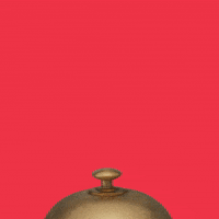 hotelsdotcom help call me will do at your service GIF