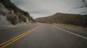 Ride GIF by Harley-Davidson