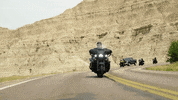 Ride GIF by Harley-Davidson