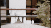 martial arts fire GIF by Parlophone Records