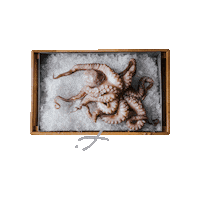 GLIKANISOS fish thessaloniki glikanisosthessaloniki glikanisosskg Sticker