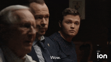 Blue Bloods GIF by ION