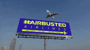 GIF by info_birmanie