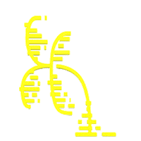 Tempest Talks Ttalks Sticker by Tempest_sec