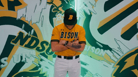 Baseball Bison GIF by NDSU Athletics