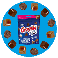 Grzeski grześki grzeszki Sticker