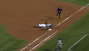 excited minor league baseball GIF