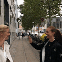 Christiansborg Fremad GIF by Radikale Venstre