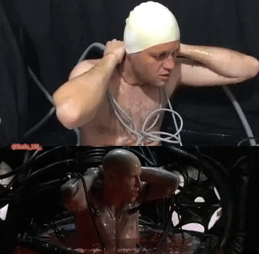 tulsimo giphygifmaker GIF