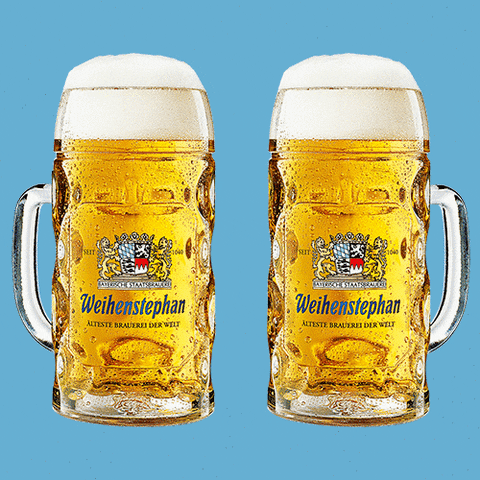 weihenstephanusa beer cheers germany german GIF