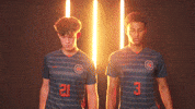 Cnms GIF by Carson-Newman Athletics