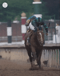 Forever Young Derby GIF by World Horse Racing
