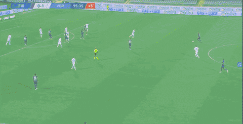 ArchiteuthisDux giphyupload GIF