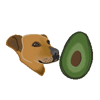 Babyledweaning Sticker by Fortified Family