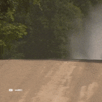 Jumping Fast Car GIF by FIA World Rally Championship