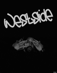 rap ice GIF