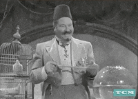 Dick Powell 1940S GIF by Turner Classic Movies