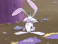 angry beavers nicksplat GIF