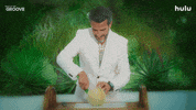 Television Love GIF by HULU