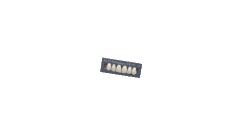 Teeth Optima Sticker by Toros Dental