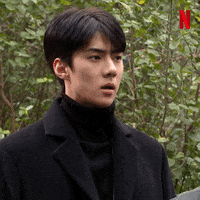 netflix exo GIF by Busted!