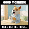 GIF by Doge Pound