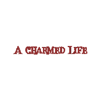 ACharmedLife fashion brand indian fashion brand Sticker