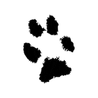Wire Fox Terrier Dog Sticker