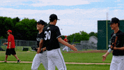 High Five GIF by Minnesota MASH