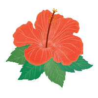 Beauty Hair Sticker by Fable & Mane