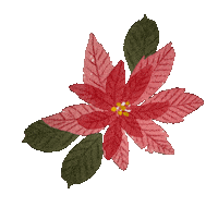 Poinsettia Sticker