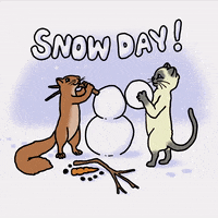 Illustrated gif. Squirrel and a cat are building a snowman together. The squirrel is affixing a branch on the body for the arm and the cat is putting on the head while it steadily snows around them. Text, "Snow day!"