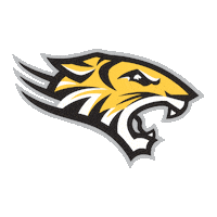 Football Basketball Sticker by Towson University