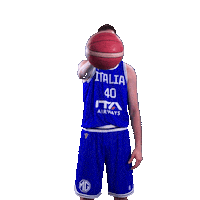 Italia Sticker by Italbasket
