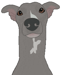 Lloyd Hound Sticker by Oracle Soul