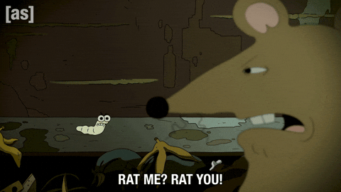 Rat Sewer GIF by Adult Swim