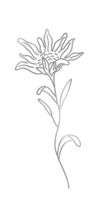 blumebranding logo flower creative branding Sticker
