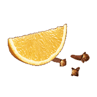 Orange Pomaranc Sticker by orlenunipetrol