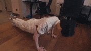 League Of Legends Lol GIF by G2 Esports
