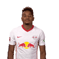 Red Bulls Football Sticker by Bundesliga